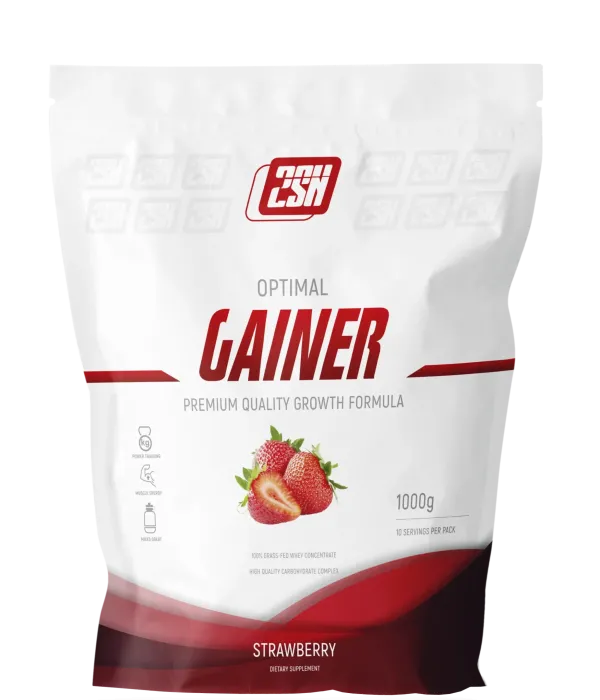 2SN GAINER 1000 г (10 порций)