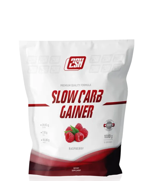 2SN SLOW CARB GAINER 1000 г (10 порций)