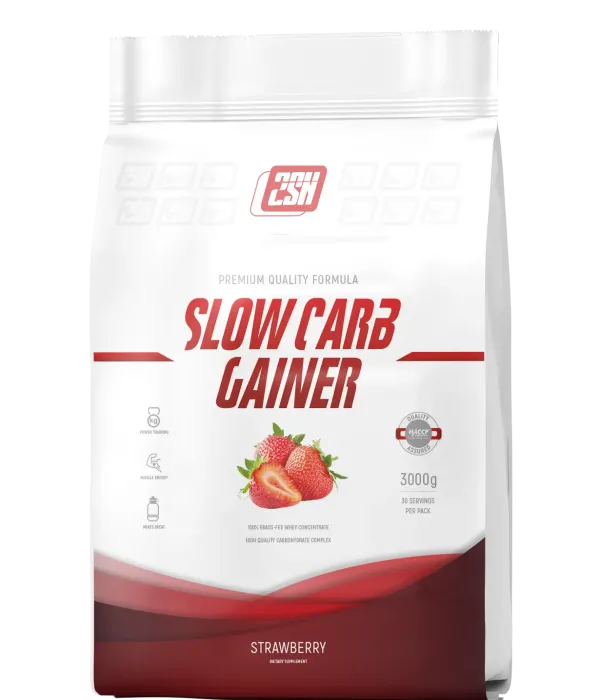 2SN SLOW CARB GAINER 3000 г (30 порций)
