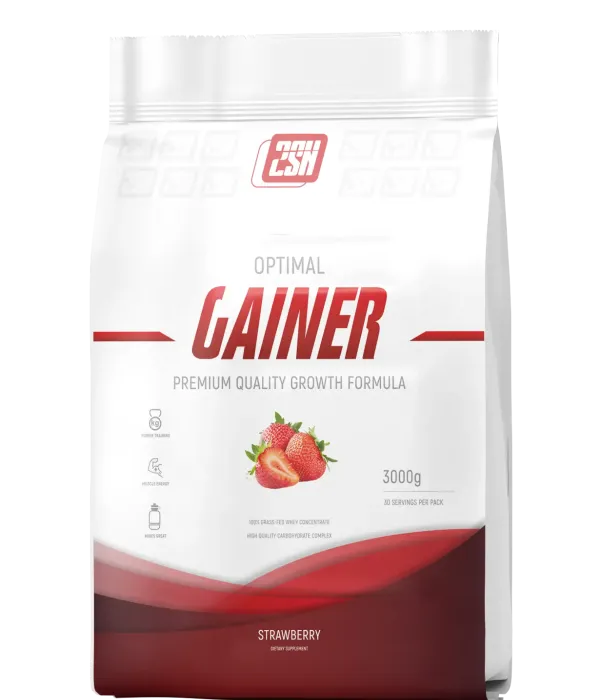 2SN GAINER 3000 г (30 порций)