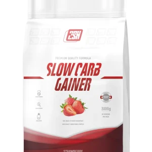 2SN SLOW CARB GAINER 3000 г (30 порций)
