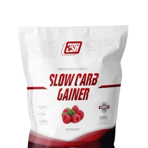 2SN SLOW CARB GAINER 1000 г (10 порций)